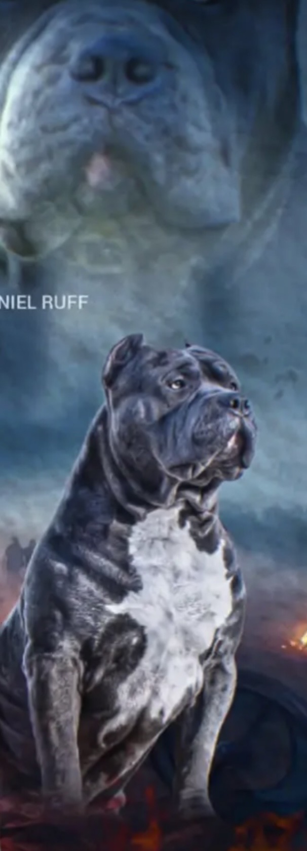 Dog Featured Image