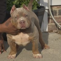 SBK’s Pooh Shiesty