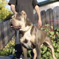 Khalifa kilo