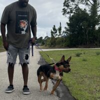 Dog Featured Image