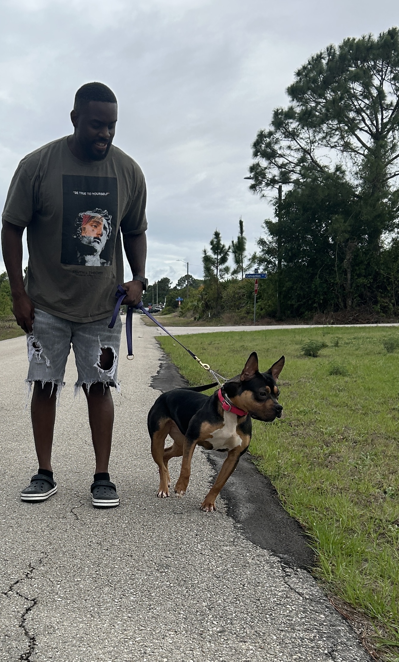 Dog Featured Image