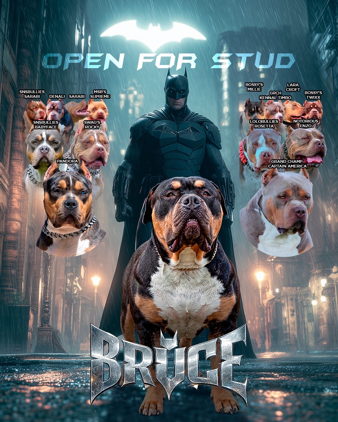 Dog Featured Image