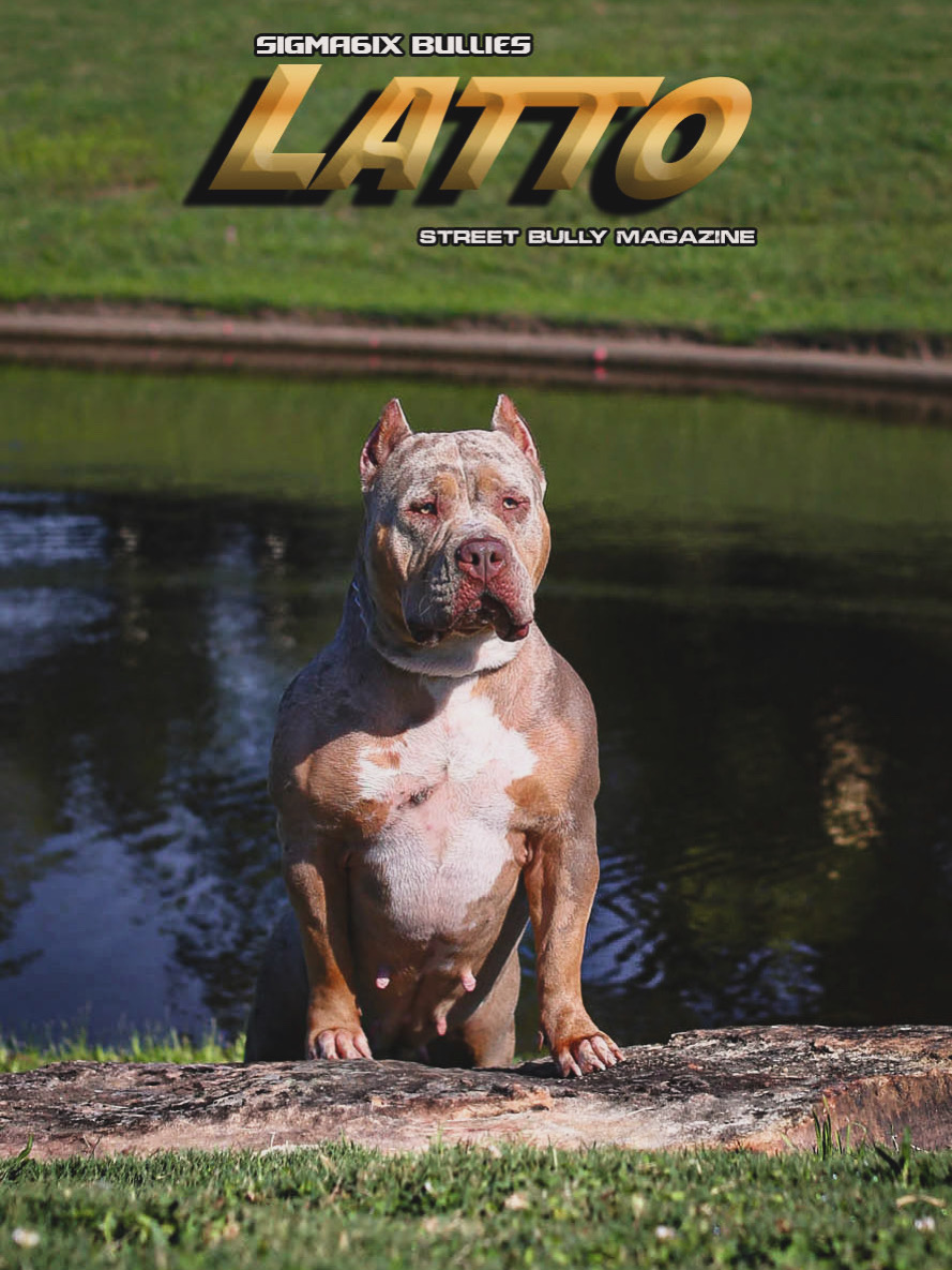 Dog Featured Image