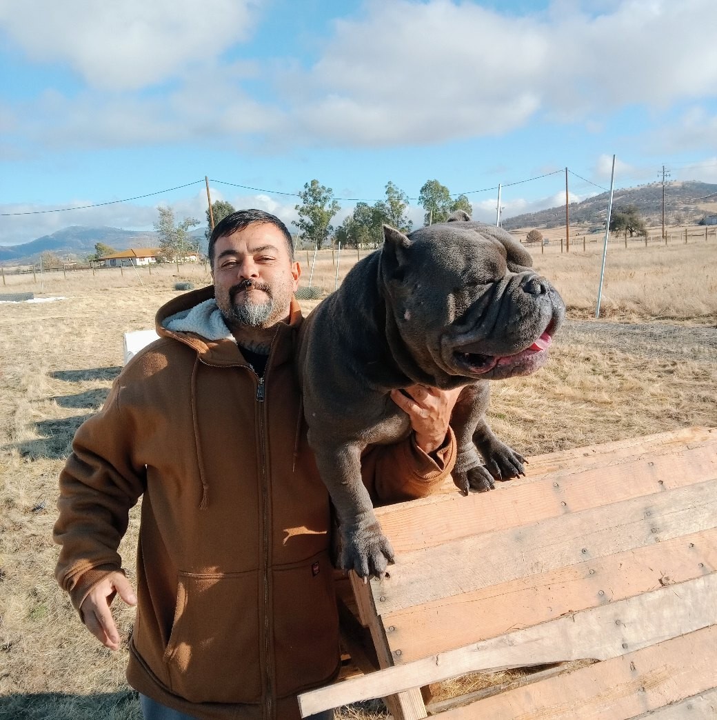 Dog Featured Image