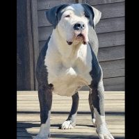 Lila Mae