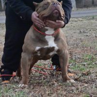 Simba AKA BIG RED