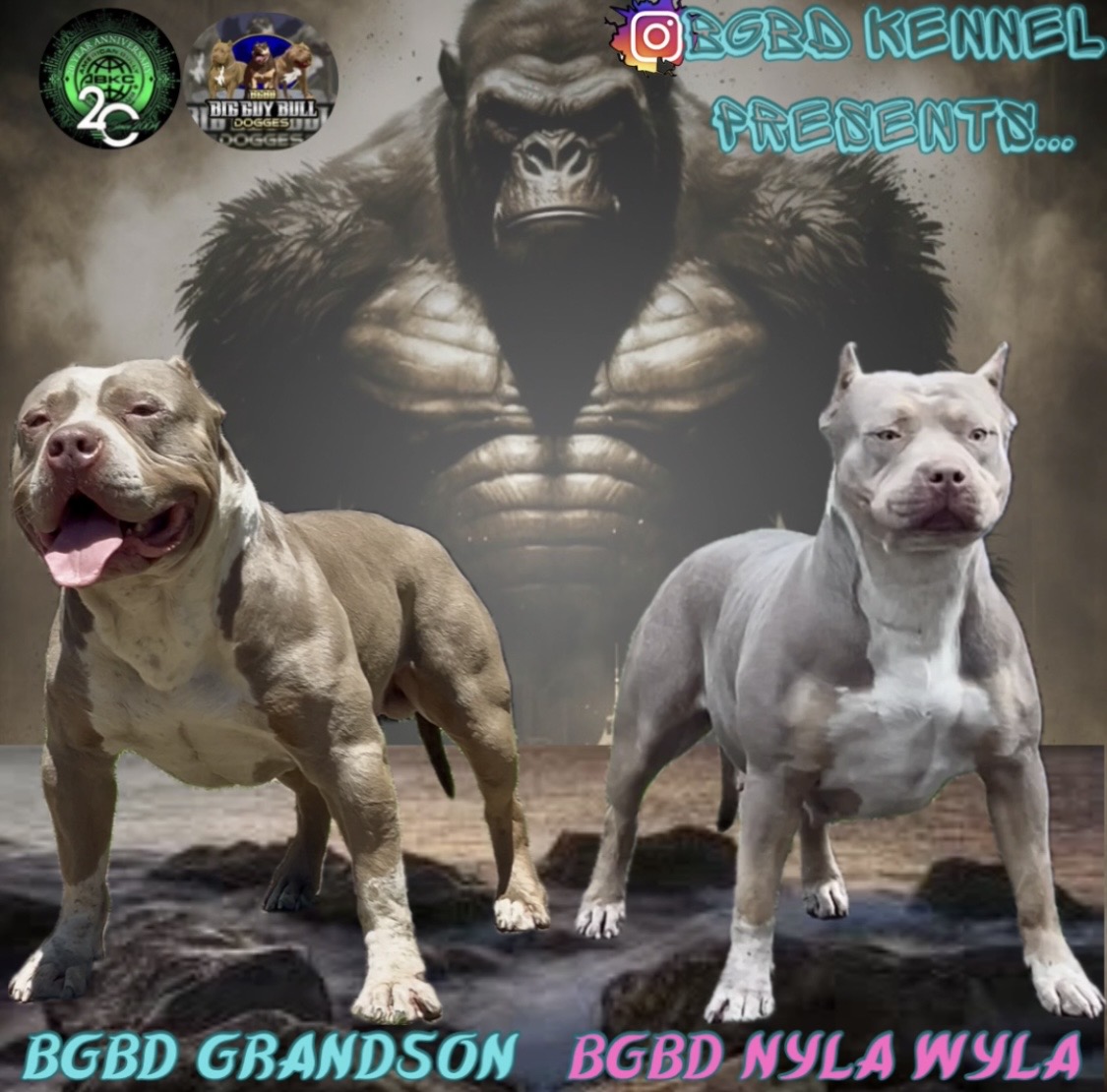 Dog Featured Image