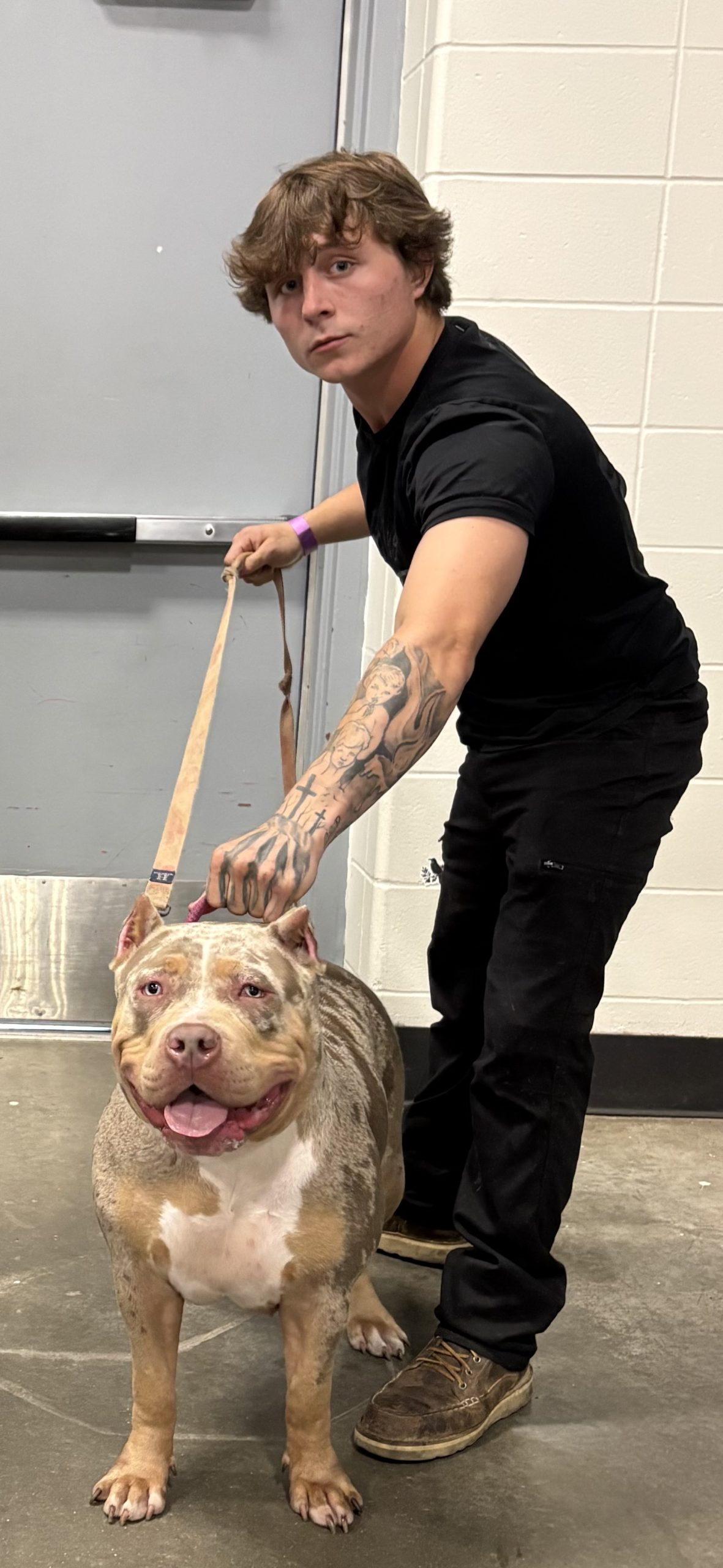 Dog Featured Image