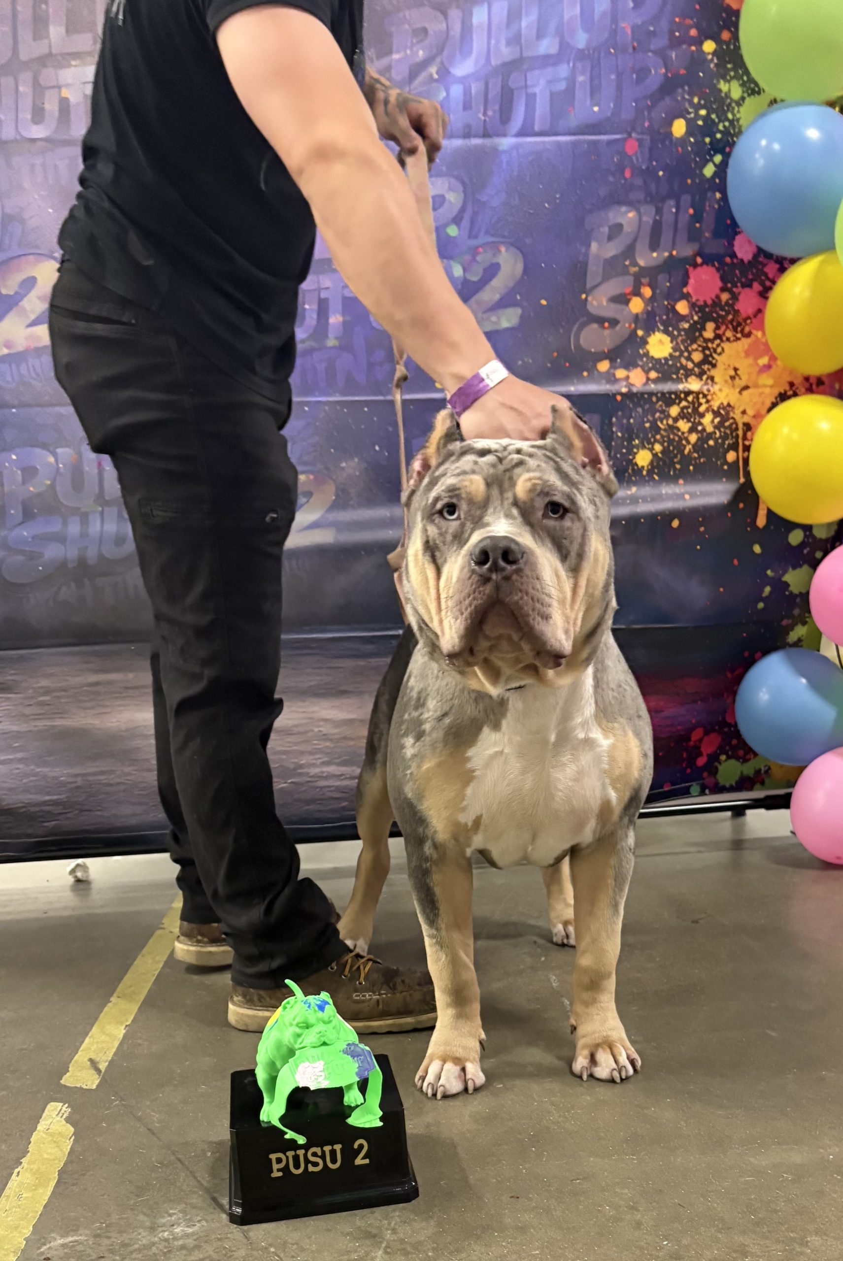 Dog Featured Image