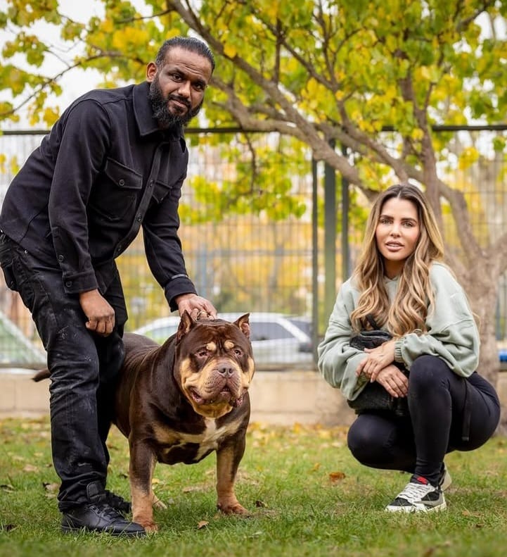 Dog Featured Image