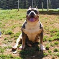 ETBK’S PRINCESS NALA