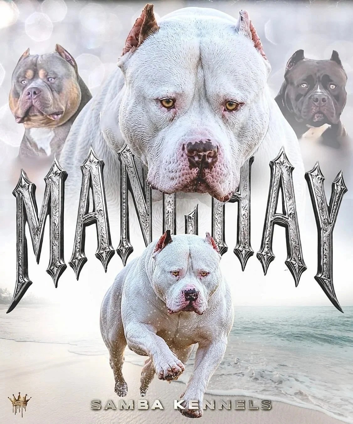 Dog Featured Image