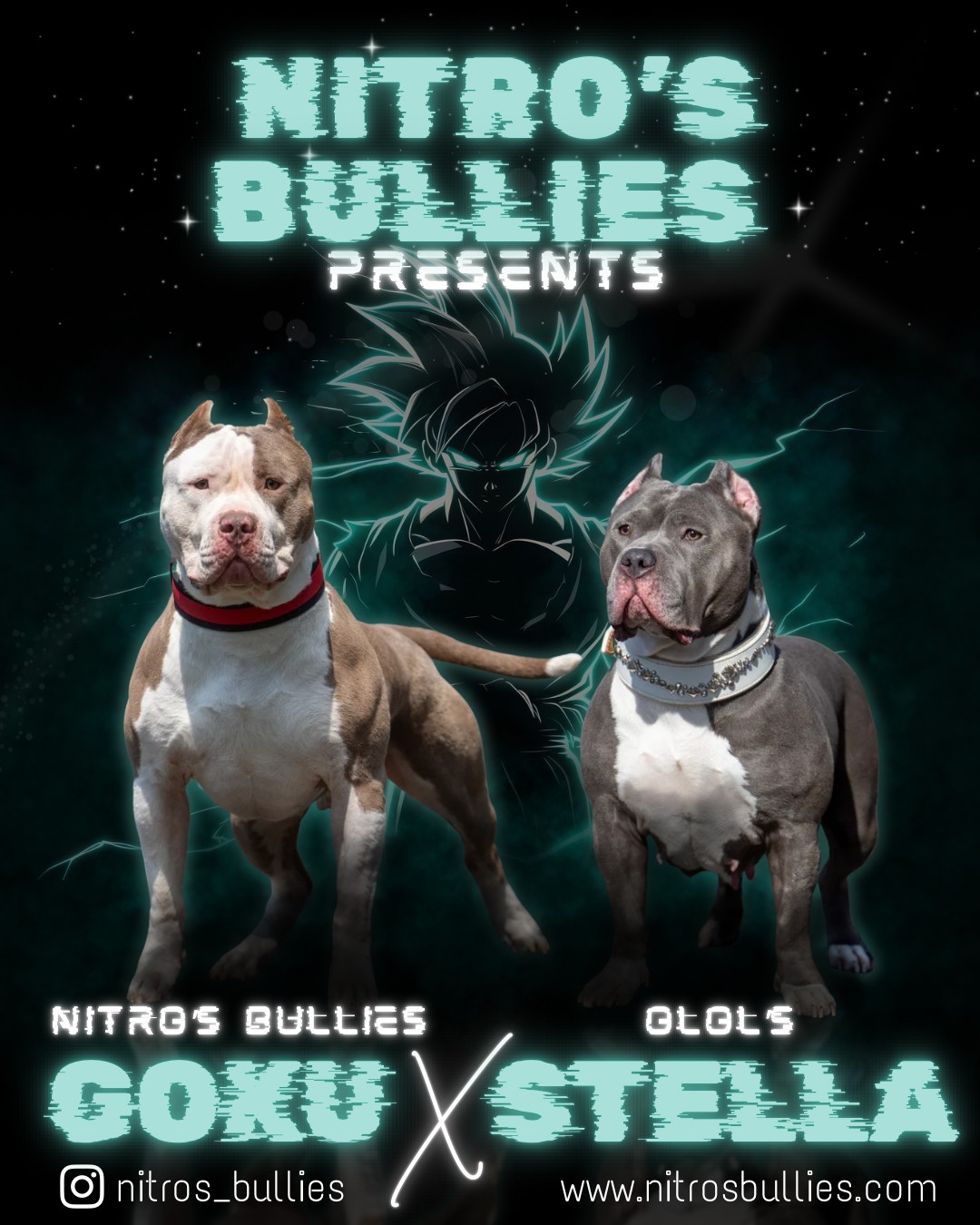 Dog Featured Image