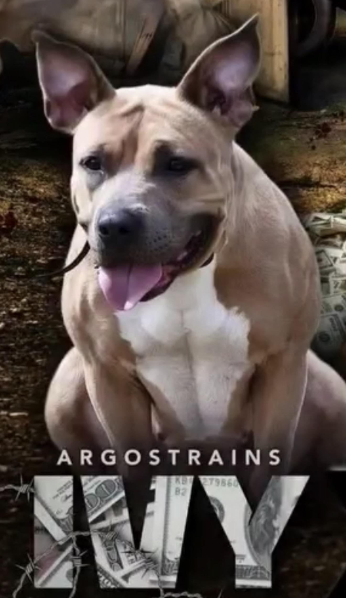 Dog Featured Image
