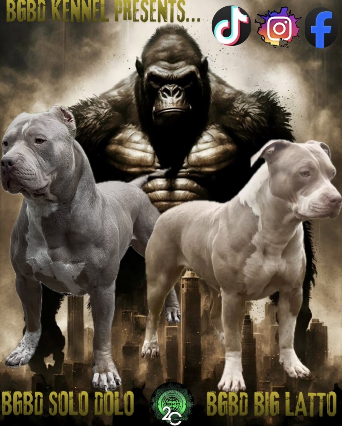 Dog Featured Image