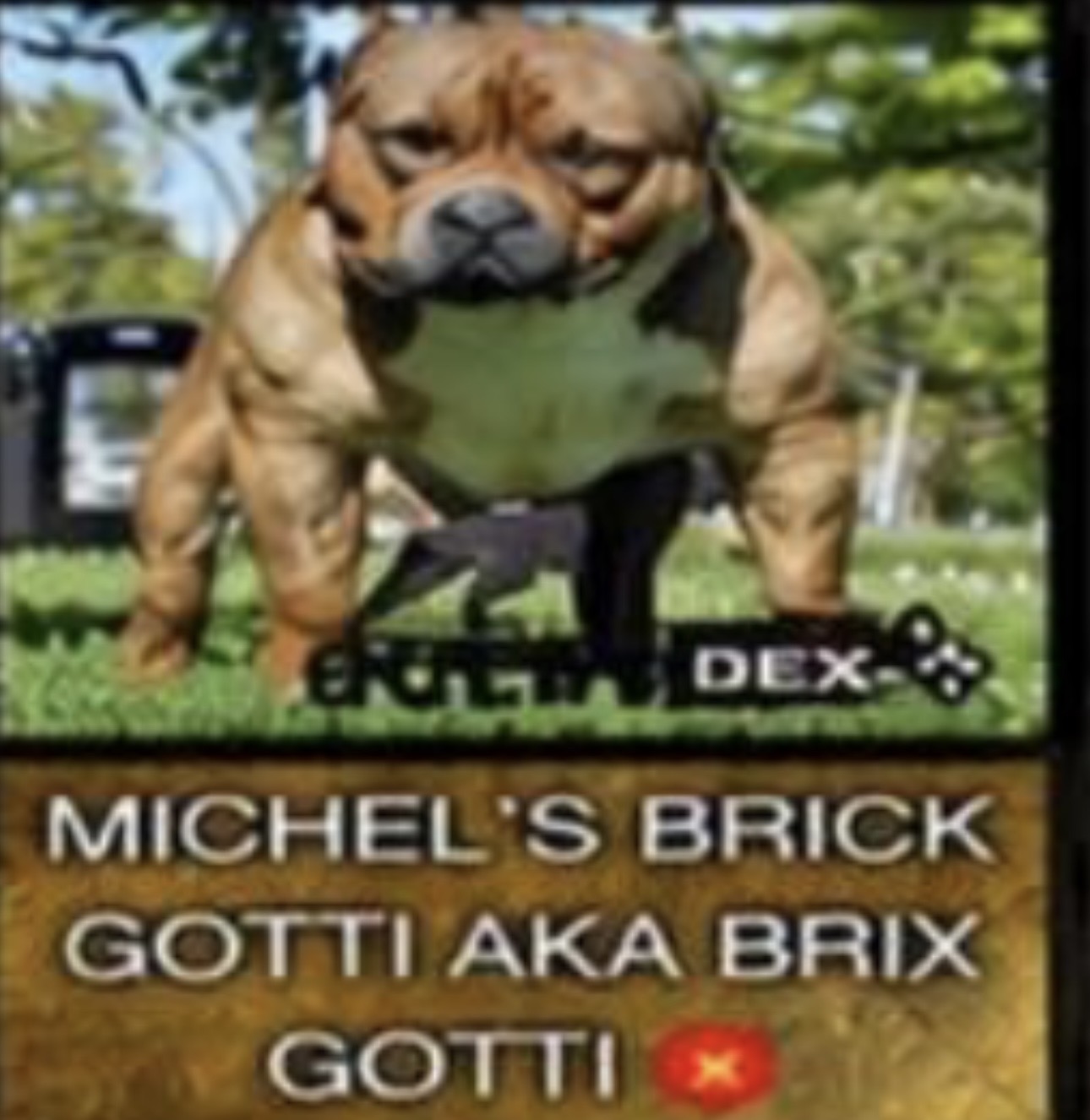 Dog Featured Image
