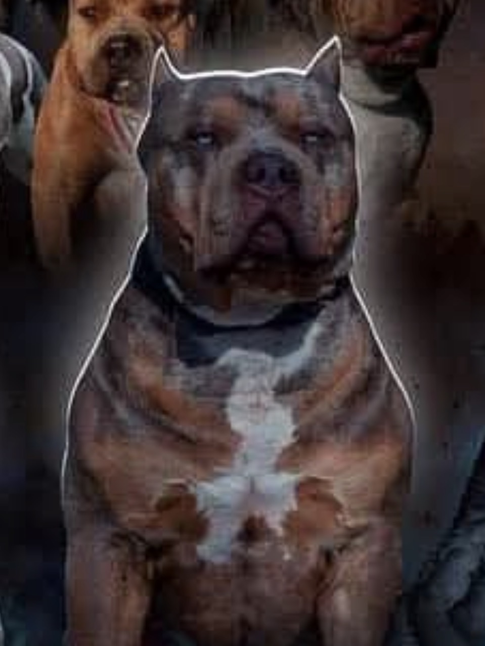 Dog Featured Image