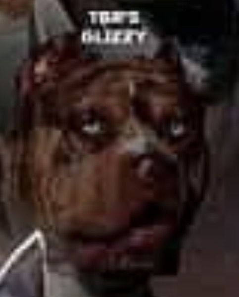 Dog Featured Image
