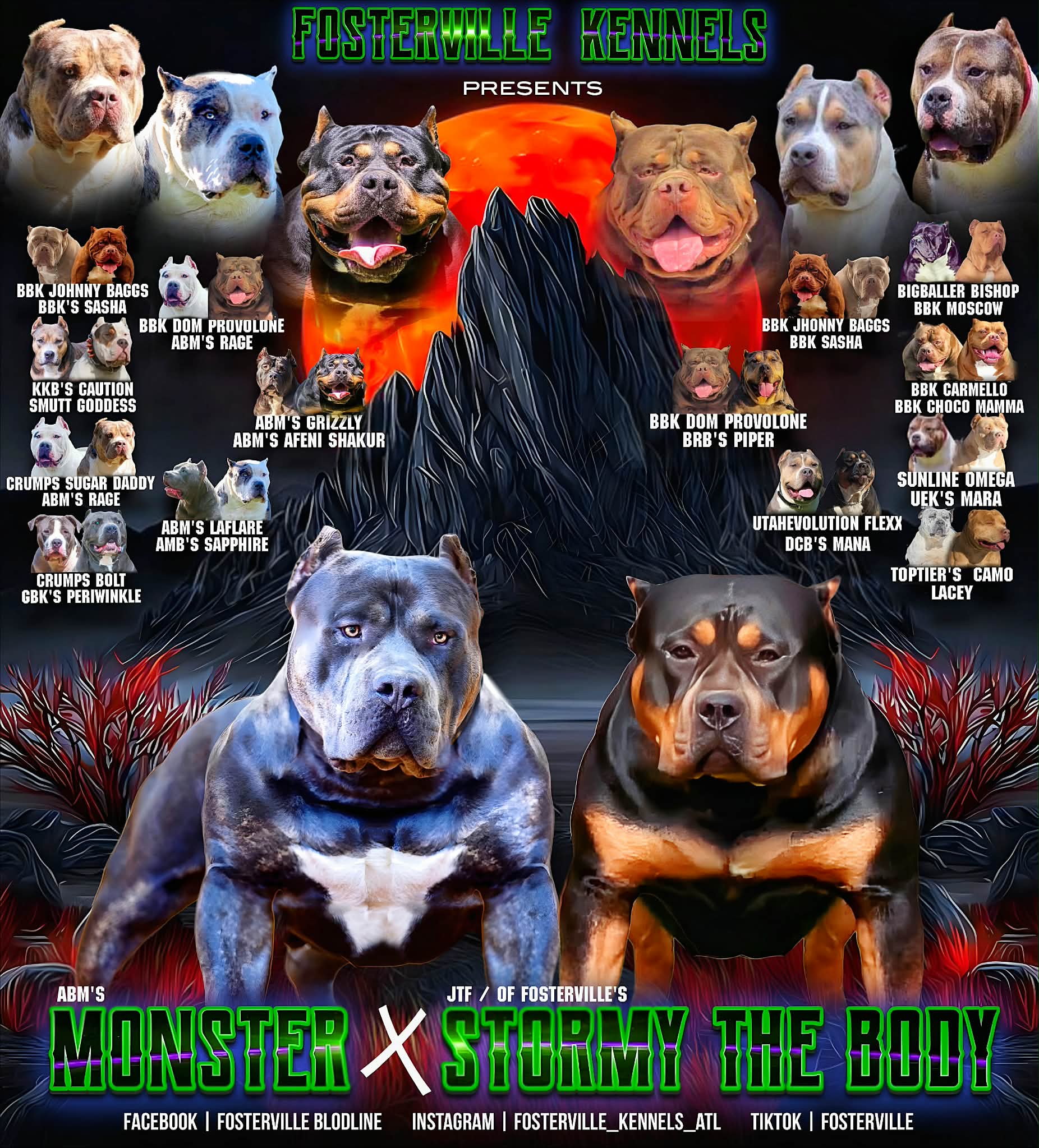 Dog Featured Image